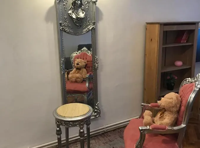 Mira Center 公寓 布拉索夫