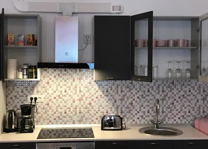 公寓 Mira Center 布拉索夫